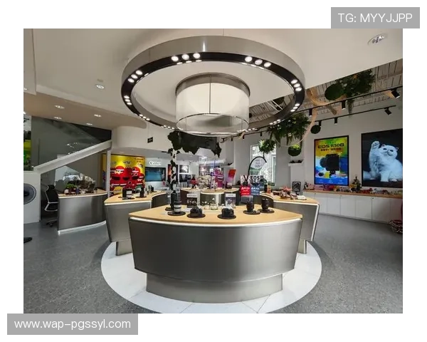 全面解析pg官网旗舰厅登录线路的安全性与稳定性保障措施